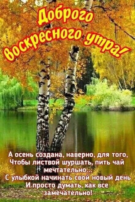 Красивая открытка «Доброго воскресного утра!» с осенним пейзажем: березы, золотая листва и озеро. Поэтичное пожелание хорошего дня и осеннего настроения. Открытка Доброго воскресного утра! Красивая осенняя открытка с пожеланием доброго воскресного утра. На изображении запечатлен живописный пейзаж: два березовых ствола на фоне золотой листвы, спокойной глади озера и ярких осенних красок. На картинке наложен текст на русском языке: приветствие «Доброго воскресного утра!» и поэтичные строки о красоте осени, чаепитии и радости нового дня