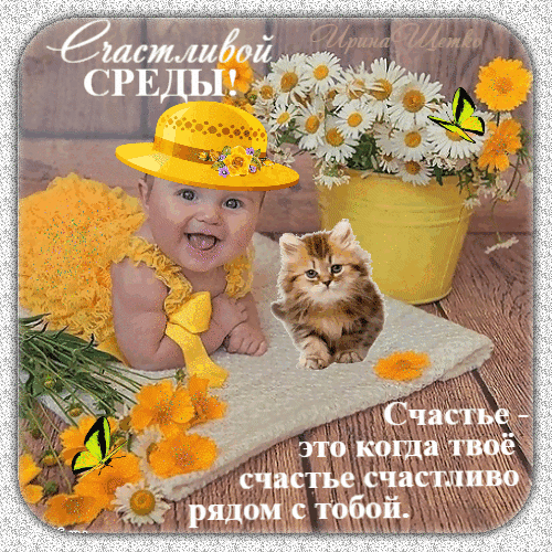 Милая открытка на среду: улыбающийся малыш, котенок и желтые цветы. Пожелание счастливой среды и вдохновляющая цитата о счастье для хорошего настроения. Анимированная открытка Счастливой среды! Счастье это когда твое счастье счастливо рядом с тобой. Красочная поздравительная открытка к среде с милым улыбающимся малышом, пушистым рыжим котенком и букетом ярких желтых цветов. Изображение наполнено солнечным настроением, теплыми оттенками и вдохновляющей цитатой о счастье