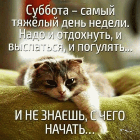 Смешной мем с котом про трудности выбора в субботу: как успеть и отдохнуть, и выспаться, и погулять. Идеально для поднятия настроения в выходные! Анимированная открытка Суббота - самый тяжелый день недели... Смешная картинка-мем с ленивым котом, который отдыхает на подушке. Текст на картинке гласит: «Суббота — самый тяжелый день недели. Надо и отдохнуть, и выспаться, и погулять... И не знаешь, с чего начать...». Идеально подходит для передачи настроения выходного дня, ленивого утра и юмористического взгляда на планирование отдыха