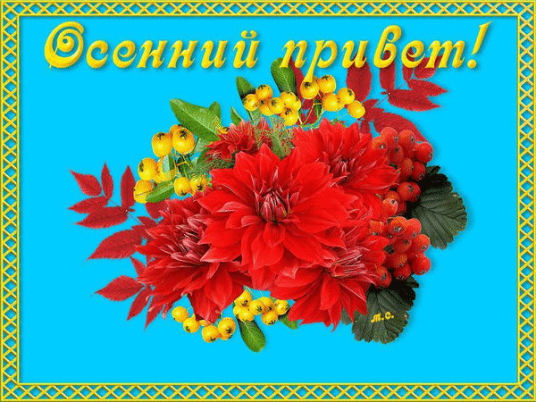Яркая осенняя открытка с надписью «Осенний привет!». Красные цветы, рябина и желтые ягоды на голубом фоне в красивой рамке. Идеально для поздравлений! Анимированная открытка Осенний привет! Красочная поздравительная открытка на ярко-голубом фоне с надписью «Осенний привет!». В центре композиции расположен пышный букет из ярко-красных георгинов, украшенный ветками с желтыми ягодами и красными гроздьями рябины. Изображение обрамлено декоративной желтой рамкой с узором