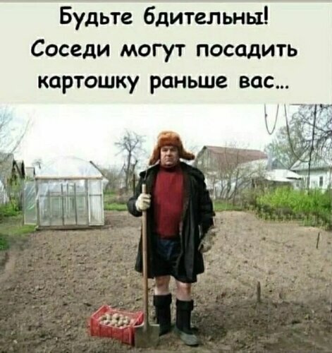 Смешной мем про дачников и конкуренцию с соседями: «Будьте бдительны! Соседи могут посадить картошку раньше вас...». Юмор про огород и садоводство. Открытка Будьте бдительными Смешной мем с изображением мужчины в саду, который держит лопату. На картинке расположен ироничный текст на русском языке: «Будьте бдительны! Соседи могут посадить картошку раньше вас...». Изображение представляет собой юмористическую шутку на тему дачного сезона, конкуренции между соседями и стремления первыми заняться огородом
