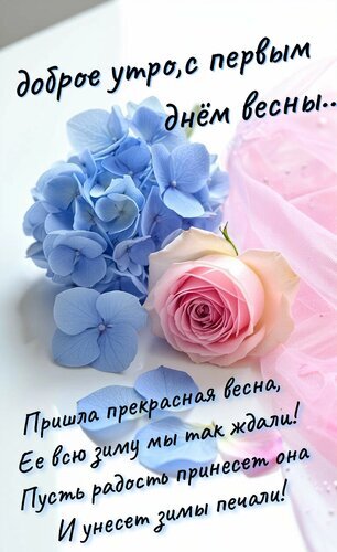 Поздравительная открытка на 1 марта: нежные голубые гортензии и розовая роза с душевным пожеланием доброго утра и прихода весны. Открытка Доброе утро. С первым днем весны. Красивая поздравительная открытка к первому дню весны. На светлом фоне изображены нежные голубые гортензии и изысканная розовая роза. На картинке размещен вдохновляющий текст на русском языке: «Доброе утро, с первым днем весны..