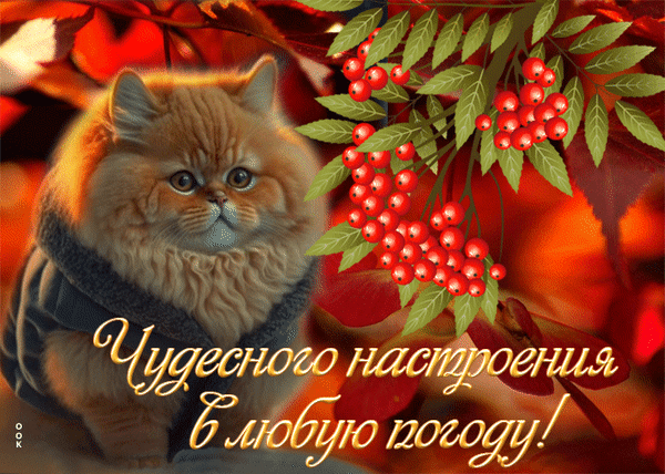 Уютная осенняя открытка с пушистым котенком в свитере и красными ягодами. Надпись: «Чудесного настроения в любую погоду!». Идеально для осеннего настроения. Анимированная открытка Чудесного настроения в любую погоду Милая и уютная открытка с пушистым рыжим котенком, одетым в теплый серый свитер. Котенок сидит на фоне осеннего пейзажа с яркими красными ягодами и золотистой листвой. На изображении нанесена вдохновляющая надпись на русском языке: Чудесного настроения в любую погоду!