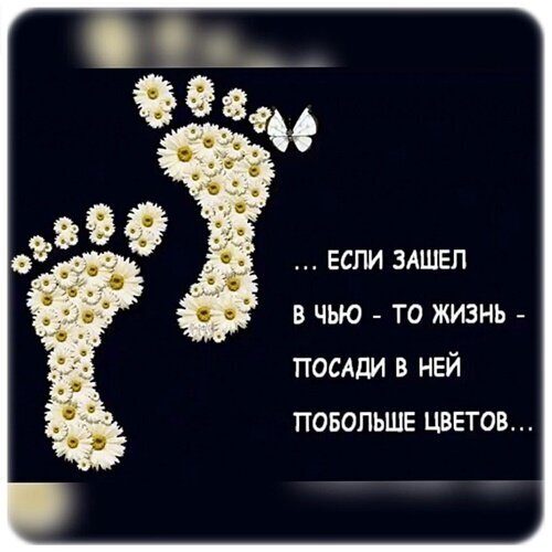 Эстетичная картинка с отпечатками ног из цветов и бабочкой. Вдохновляющая цитата о добре: «Если зашел в чью-то жизнь — посади в ней побольше цветов...». Открытка ... если зашел в чью-то жизнь... Художественное изображение на темном фоне, представляющее собой два отпечатка человеческих стоп, полностью сформированных из мелких белых цветов (маргариток). Рядом с одним из отпечатков парит изящная белая бабочка. На картинке размещена вдохновляющая цитата на русском языке: «...если зашел в чью-то жизнь — посади в ней побольше цветов...». Изображение несет глубокий философский смысл о доброте, созидании и позитивном влиянии человека на окружающих