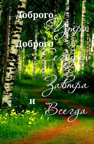 Открытка «Доброго утра!» с красивым видом на березовую рощу и солнечную тропинку. Пожелание доброго утра, сегодня, завтра и всегда для близких и друзей. Открытка Доброго утра. Доброго сегодня, завтра и всегда Красивая открытка с пожеланием доброго утра и хорошего дня на фоне живописного березового леса. На изображении запечатлена солнечная лесная тропинка, окруженная высокими березами с характерной белой корой и ярко-зеленой листвой. На переднем плане среди сочной травы цветут желтые одуванчики. Поверх картинки наложен элегантный каллиграфический текст на русском языке: 