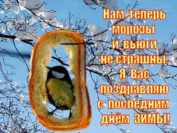 Поздравление с последним днем зимы: милая птичка в хлебе на фоне зимнего пейзажа с праздничной надписью на русском языке. Анимированная открытка С последним днем зимы! Коллаж в зимнем стиле с милой птичкой (синицей), сидящей внутри ломтика хлеба на фоне заснеженных веток и голубого неба. На картинке наложен праздничный текст на русском языке: Нам теперь морозы и вьюги не страшны. Я Вас поздравляю с последним днем зимы!!