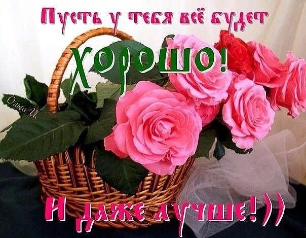 Открытка с розовыми розами в корзине и пожеланием: «Пусть у тебя все будет хорошо и даже лучше!». Красивое цветочное изображение для добрых пожеланий. Открытка Пусть у тебя все будет хорошо! И даже лучше!)) Красивая открытка с пышными розовыми розами в плетеной корзине. Изображение украшено вдохновляющей надписью на русском языке: «Пусть у тебя все будет хорошо и даже лучше!» Открытка с розовыми розами в корзине и пожеланием: «Пусть у тебя все будет хорошо и даже лучше!». Красивое цветочное изображение для добрых пожеланий. Открытка Пусть у тебя все будет хорошо! И даже лучше!)) Красивая открытка с пышными розовыми розами в плетеной корзине. Изображение украшено вдохновляющей надписью на русском языке: «Пусть у тебя все будет хорошо и даже лучше!»