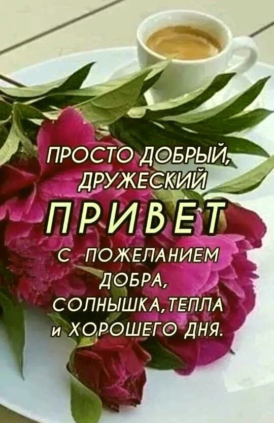Доброе утро! Красивая открытка с розовыми пионами и кофе. Пожелание добра, тепла и хорошего дня для друзей и близких в WhatsApp и соцсетях. Открытка Привет Красивая поздравительная открытка с изображением пышных розовых пионов и чашки ароматного кофе на белом блюдце. На картинке размещен вдохновляющий текст на русском языке: Просто добрый, дружеский привет с пожеланием добра, солнышка, тепла и хорошего дня. Идеально подходит для отправки близким, друзьям и коллегам в мессенджерах (WhatsApp, Viber) или социальных сетях для создания позитивного настроения с самого утра