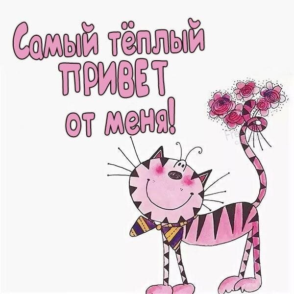 Милая открытка с розовым котом и надписью Самый теплый ПРИВЕТ от меня!. Добрая иллюстрация для поднятия настроения и передачи теплых пожеланий. Открытка Самый теплый привет от меня Милая и добрая цифровая иллюстрация с розовым мультяшным котом. На картинке изображен улыбающийся котик в полоску с поднятым хвостом, на котором распустились цветы. Сверху расположена надпись на русском языке: Самый теплый ПРИВЕТ от меня!
