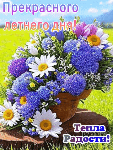 Красивый букет летних цветов (ромашки, гортензии) с пожеланиями: Прекрасного летнего дня! и Тепла Радости!. Яркая открытка для доброго настроения. Анимированная открытка Прекрасного летнего дня! Тепла. Радости! Яркий и позитивный коллаж с пышным букетом летних цветов в глиняном горшке. В композиции представлены белоснежные ромашки с желтыми сердцевинами, нежные фиолетовые и синие гортензии, а также мелкие белые цветы. Фон представляет собой залитый солнцем зеленый луг под голубым небом. На изображении расположены вдохновляющие надписи на русском языке: «Прекрасного летнего дня!» сверху и «Тепла Радости!» снизу