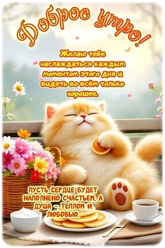 Милая открытка «Доброе утро!» с рыжим котенком, цветами и вкусным завтраком. Пожелание счастья, тепла и любви для хорошего настроения с самого утра. Открытка Доброе утро! Милая открытка с рыжим пушистым котенком, который с наслаждением лежит на солнечной террасе. Котенок выглядит очень счастливым и беззаботным. Рядом с ним стоит корзинка с яркими розовыми и желтыми цветами, а также завтрак: чашка кофе и аппетитные блинчики. На картинке размещен вдохновляющий текст на русском языке: пожелание доброго утра, наслаждения каждым моментом дня и наполнения сердца счастьем, теплом и любовью