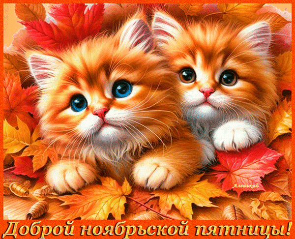 Милые рыжие котята на осенних листьях. Уютная открытка с надписью «Доброй ноябрьской пятницы!» для поздравлений и хорошего настроения в ноябре. Анимированная открытка Доброй ноябрьской пятницы! Очаровательная и уютная цифровая иллюстрация с двумя пушистыми рыжими котятами, лежащими на яркой осенней листве. Котята с большими выразительными голубыми глазами создают атмосферу тепла и нежности. Вокруг них рассыпаны золотые, красные и оранжевые кленовые листья и желуди, подчеркивающие осеннее настроение