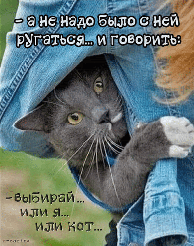 Смешной мем с котом и текстом о выборе между человеком и питомцем: «выбирай... или я... или кот...». Ироничная картинка для соцсетей и юмора. Анимированная открытка Или я, или кот Смешной мем с серым котом, выглядывающим из-под джинсовой одежды. На картинке наложен ироничный текст на русском языке: «— а не надо было с ней ругаться... и говорить: — выбирай... или я... или кот...». Изображение передает комичную ситуацию ревности или выбора между партнером и домашним питомцем