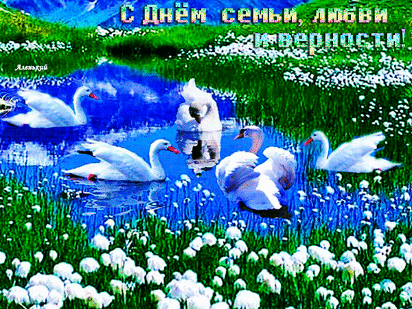 Открытка к Дню семьи, любви и верности с изображением белых лебедей на фоне озера и цветов. Красивое праздничное поздравление с символом верности. Анимированная открытка С Днем семьи, любви и верности! Красочное поздравительное изображение к Дню семьи, любви и верности. На фоне живописного голубого озера и сочной зеленой травы с белыми цветами запечатлена стая грациозных белых лебедей. Лебеди — символ верности и любви, что идеально дополняет тематику праздника. В верхней части картинки расположена праздничная надпись на русском языке: С Днем семьи, любви и верности!