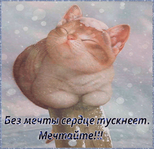 Мотивирующая картинка с милым спящим котом и надписью: «Без мечты сердце тускнеет. Мечтайте!!!». Вдохновляющая цитата для настроения и соцсетей. Анимированная открытка Без мечты сердце тускнеет. Мечтайте! Милая и вдохновляющая картинка с изображением довольного, спящего котика. На изображении наложен текст на русском языке: «Без мечты сердце тускнеет. Мечтайте!!!». Атмосфера изображения спокойная, мечтательная, с мягким фоном, напоминающим снежинки или светящиеся частицы
