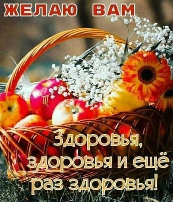 Поздравительная открытка с корзиной яблок и цветов. Надпись: «Желаю вам здоровья, здоровья и еще раз здоровья!» — доброе пожелание для близких и друзей. Открытка Желаю вам здоровья, здоровья и еще раз здоровья! Красивое поздравительное изображение с корзиной спелых красных яблок и нежными белыми цвегами гипсофилы, украшенной яркой оранжевой герберой. На картинке на русском языке написан добрый текст: Желаю вам здоровья, здоровья и еще раз здоровья!. Идеально подходит для открытки, отправки в мессенджерах (WhatsApp, Viber) или публикации в социальных сетях в качестве пожелания крепкого здоровья близким, друзьям и коллегам