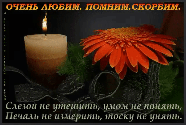 Открытка памяти: зажженная свеча и цветок. Надпись: «Очень любим. Помним. Скорбим». Трогательные слова соболезнования и скорби в тяжелую минуту. Анимированная открытка Светлая память Трогательная и меланхоличная открытка для выражения скорби и памяти. На изображении зажженная свеча, символизирующая вечную память, и яркий оранжевый цветок гербера на темном фоне. Текст на русском языке гласит: «Очень любим. Помним. Скорбим» и дополнен глубокими поэтическими строками о невосполнимой утрате и печали, которую невозможно измерить. Изображение передает атмосферу светлой грусти, сострадания и уважения к ушедшему человеку