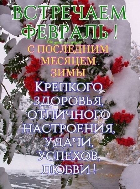 Поздравительная открытка к февралю: заснеженная рябина и пожелания здоровья, удачи и любви. Красивое зимнее изображение для поздравления близких. Открытка Встречаем февраль! С последним месяцем зимы Крепкого здоровья, отличного настроения, удачи, успехов, Красивая поздравительная открытка к февралю с зимним пейзажем. На фоне заснеженных веток рябины с красными ягодами расположен праздничный текст на русском языке: Встречаем февраль! С последним месяцем зимы. Крепкого здоровья, отличного настроения, удачи, успехов, любви!. Изображение передает уютную зимнюю атмосферу и несет теплые пожелания на новый месяц