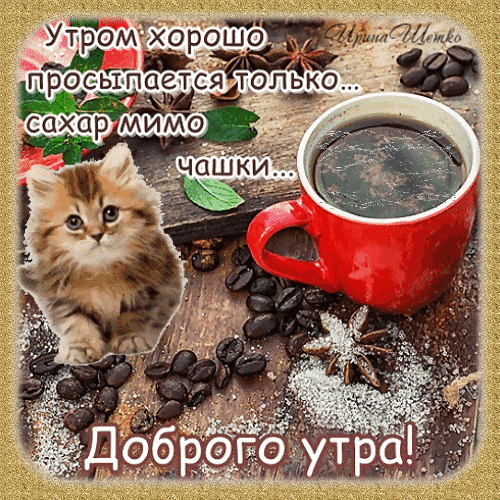 Милый рыжий котенок, чашка горячего кофе и пожелание доброго утра. Уютная картинка с юмором для поднятия настроения с утра. Анимированная открытка Доброе утро! Уютная и позитивная картинка для утреннего настроения. На деревянном фоне изображена чашка горячего кофе в красной кружке, рассыпанные кофейные зерна, специи (бадьян) и сахар. Рядом с кружкой сидит очаровательный маленький рыжий котенок с милой мордочкой. На изображении наложен текст на русском языке: «Утром хорошо просыпается только... сахар мимо чашки... Доброго утра!»