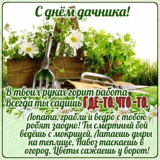 Красочная открытка к Дню дачника с юмористическим стихом, цветами и садовым инвентарем. Поздравление для любителей огорода и дачного отдыха! Открытка С днем дачника Поздравление с Днем дачника: уютная картинка с деревянным ящиком, свежими цветами, зеленью и садовым инвентарем. На изображении представлено шуточное стихотворение о буднях садовода, работе в огороде, уходе за теплицей и посадке цветов