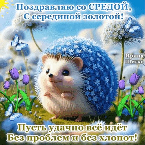 Доброе поздравление со средой: милый ежик, цветы и бабочки. Желаем, чтобы все шло удачно и без хлопот! Идеальная открытка для мессенджеров. Анимированная открытка Поздравляю со средой! Милая и добрая поздравительная открытка к среде. На изображении изображен очаровательный пушистый ежик в окружении нежных цветов и голубых бабочек. Надпись гласит: Поздравляю со СРЕДОЙ, с серединой золотой! Пусть удачно все идет без проблем и без хлопот!