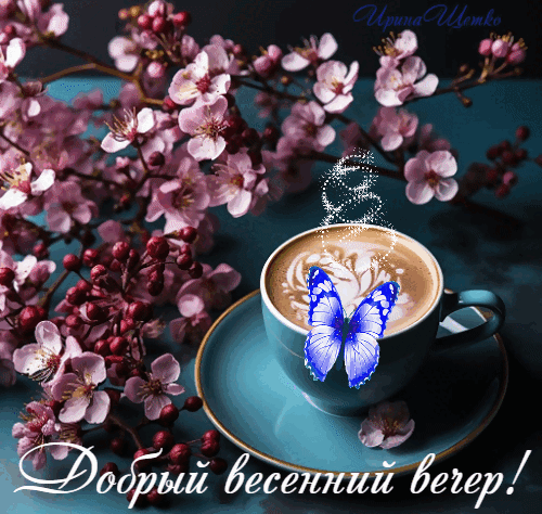 Уютный весенний вечер: чашка кофе с латте-артом, нежная голубая бабочка и цветущая вишня. Красивая открытка с пожеланием доброго вечера. Анимированная открытка Добрый вечер! Эстетичное и атмосферное изображение для пожелания доброго весеннего вечера. На снимке запечатлена чашка латте с красивым рисунком на пенке, на краю которой сидит нежная голубая бабочка. Композиция дополнена ветками цветущей розовой вишни с мелкими бутонами на глубоком синем фоне. Изображение наполнено уютом, весенним настроением и магией момента