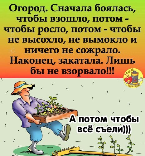Смешной мем про огород: от страха, что не взойдет, до радости, что все съели! Ироничная картинка для дачников и садоводов. Открытка Сначала чтоб взошло Смешная картинка-мем про огород и дачный сезон. На изображении представлен мультяшный персонаж, несущий рассаду, и ироничный текст о трудностях садоводства: от страха, что ничего не взойдет, до финального желания, чтобы урожай просто съели