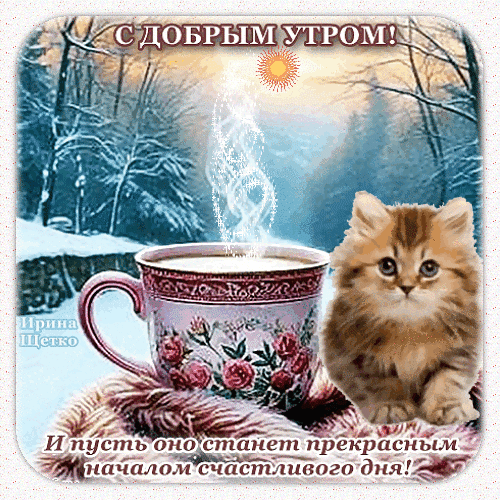Милая открытка «С добрым утром!» с рыжим котенком, чашкой горячего напитка и зимним пейзажем. Пожелание прекрасного начала счастливого дня для близких. Анимированная открытка Доброе утро! Красивая поздравительная открытка на доброе утро с милым рыжим котенком. На изображении представлена чашка горячего ароматного напитка с паром на фоне заснеженного зимнего леса и мягкого солнечного света. Вверху надпись «С ДОБРЫМ УТРОМ!», а внизу — пожелание: «И пусть оно станет прекрасным началом счастливого дня!» Милая открытка «С добрым утром!» с рыжим котенком, чашкой горячего напитка и зимним пейзажем. Пожелание прекрасного начала счастливого дня для близких. Анимированная открытка Доброе утро! Красивая поздравительная открытка на доброе утро с милым рыжим котенком. На изображении представлена чашка горячего ароматного напитка с паром на фоне заснеженного зимнего леса и мягкого солнечного света. Вверху надпись «С ДОБРЫМ УТРОМ!», а внизу — пожелание: «И пусть оно станет прекрасным началом счастливого дня!»