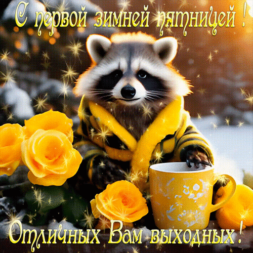 Милая открытка с енотом, желтыми розами и чашкой чая. Пожелание «С первой зимней пятницей! Отличных вам выходных!» для уютного настроения. Анимированная открытка С первой зимней пятницей! Отличных вам выходных! Милая поздравительная открытка с изображением пушистого енота в желтом шарфе, который держит чашку горячего напитка рядом с прекрасными желтыми розами. На картинке наложен магический эффект сверкающих звезд и надпись на русском языке: «С первой зимней пятницей! Отличных Вам выходных!»