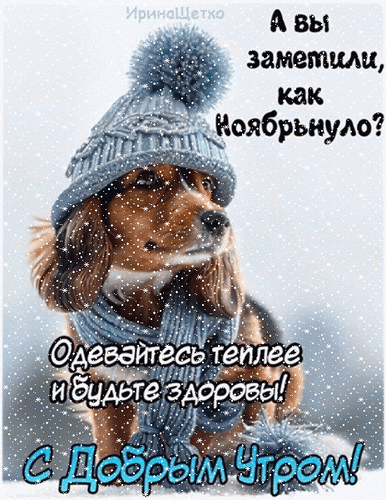 Милая открытка «С добрым утром!»: очаровательный щенок в зимней шапке и шарфе. Уютное осенне-зимнее пожелание здоровья и тепла на ноябрь. Анимированная открытка Вы заметили, как Иоябрьнуло? Одеваитесь теплее Милая зимняя открытка с изображением очаровательного коричневого спаниеля в теплой вязаной шапке с помпоном и уютном голубом шарфе. На фоне падающего снега расположена поздравительная надпись на русском языке: «А вы заметили, как ноябрьнуло? Одевайтесь теплее и будьте здоровы! С Добрым Утром!»