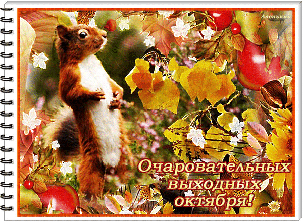 Осенняя картинка с рыжей белкой и надписью «Очаровательных выходных октября!». Уютная иллюстрация с золотой листвой для осеннего настроения. Анимированная открытка Очаровательных выходных октября! Уютная осенняя иллюстрация с изображением пушистой рыжей белки на фоне золотистой листвы и осенних плодов. Картинка наполнена атмосферой тепла и природы, украшена нежными цветами и яркими красками октября. На изображении присутствует надпись на русском языке: «Очаровательных выходных октября!», что делает ее идеальной для осенних открыток, пожеланий и вдохновения