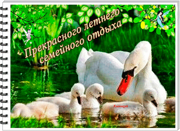 Красочный коллаж с семьей лебедей и птенцами на фоне летней природы. Надпись: «Прекрасного летнего семейного отдыха». Идеально для открытки или блога. Анимированная открытка Прекрасного летнего семейного отдыха Коллаж в виде блокнота или открытки с изображением семьи лебедей на фоне живописного летнего пейзажа. На переднем плане — белые лебеди и их пушистые птенцы, плавающие в спокойной воде среди зеленой растительности. В верхней части изображения расположена надпись на русском языке: «Прекрасного летнего семейного отдыха». Атмосфера картинки передает спокойствие, уют и красоту природы