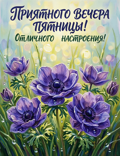 Красивая открытка с фиолетовыми цветами и текстом Приятного вечера пятницы! Отличного настроения!. Пожелание хорошего настроения для друзей и близких. Анимированная открытка Приятного вечера пятницы! Красивая поздравительная открытка с изображением нежных фиолетовых анемонов. На картинке крупным планом нарисованы пышные цветы с капельками росы на лепестках в лучах мягкого солнечного света. Сверху наложен текст на русском языке:  Приятного вечера пятницы! Отличного настроения!. Иллюстрация выполнена в живописном стиле с использованием ярких и теплых цветов, создавая атмосферу уюта, радости и весеннего тепла