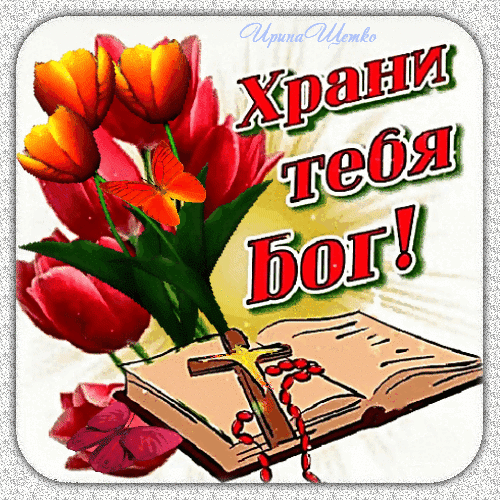 Открытка с красными тюльпанами, крестом и надписью «Храни тебя Бог!». Духовное изображение, символизирующее веру, надежду и божественную защиту. Анимированная открытка Храни тебя Бог! Красивое поздравительное изображение с духовным подтекстом. На картинке изображен пышный букет ярких красных тюльпанов, нежная оранжевая бабочка и раскрытая книга (Библия), на которой лежит деревянный крест и красные четки. В центре композиции крупная надпись на русском языке «Храни тебя Бог!», выполненная в декоративном стиле. Изображение наполнено теплым светом, символизирует веру, надежду, божественную защиту и утешение