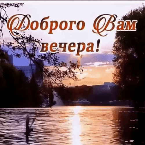 Красивая открытка с надписью «Доброго Вам вечера!» на фоне живописного заката над рекой. Идеальное пожелание уютного вечера для близких и друзей. Анимированная открытка Доброго вам вечера! Уютная и теплая картинка для пожелания доброго вечера. На изображении запечатлен живописный закат над спокойной рекой или озером, отражающийся в водной глади. На переднем плане видны силуэты ветвей деревьев, создающие ощущение уединения и спокойствия. В центре композиции расположена красивая каллиграфическая надпись на русском языке: «Доброго Вам вечера!»