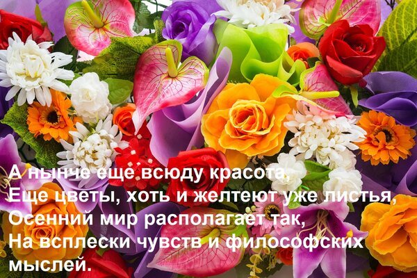 Красочный букет цветов с романтичным текстом об осени, чувствах и философии. Яркая открытка для вдохновения и осеннего настроения. Открытка А нынче еще всюду красота, Еще цветы, хоть и желтеют уже листья, Осенний мир располагает так, На всплески чувств и философских мыслей. Яркий и многоцветный букет из искусственных цветов, включающий розы, антуриумы, хризантемы и лилии в насыщенных оттенках розового, оранжевого, фиолетового и белого. На изображении наложен романтичный текст на русском языке о красоте осени, чувствах и философских размышлениях