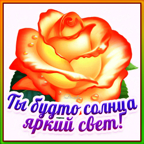 Красивая оранжевая роза с надписью «Ты будто солнца яркий свет!». Яркая цифровая открытка для душевного поздравления и пожеланий. Анимированная открытка ТЫ Будто Солнца Яркий СВЕТ! Красочная цифровая иллюстрация ярко-оранжевой розы с золотистыми оттенками и каплями росы на лепестках. На изображении наложен поздравительный текст на русском языке: «Ты будто солнца яркий свет!», написанный стилизованным фиолетовым шрифтом с белой обводкой