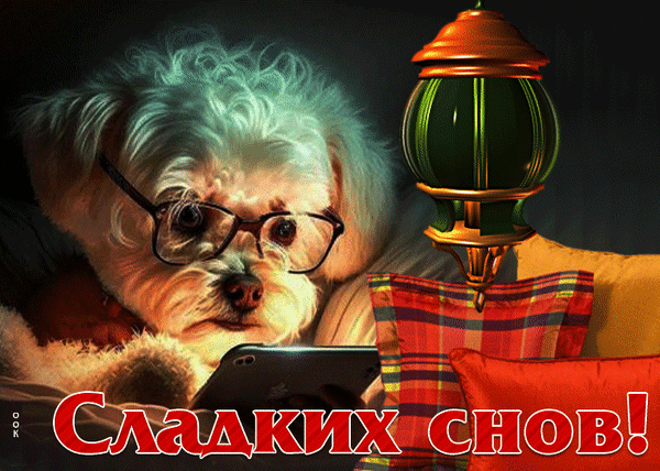 Милая открытка с пушистым песиком в очках с надписью «Сладких снов!». Уютная картинка для пожелания доброй ночи друзьям и близким. Анимированная открытка Сладких снов Милая и уютная открытка с изображением белого пушистого песика в очках, который увлеченно смотрит в смартфон. На переднем плане — яркие подушки и декоративный светильник, создающие теплую вечернюю атмосферу. В нижней части картинки крупная надпись на русском языке «Сладких снов!», выполненная в красно-белых тонах