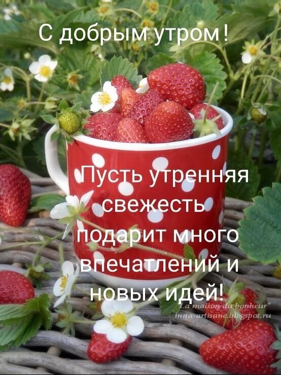 Пожелание доброго утра с сочной клубникой в красной кружке. Вдохновляющая картинка для поднятия настроения и зарядки позитивом на весь день! Открытка Доброе утро Яркое и позитивное приветственное изображение для доброго утра. На картинке крупным планом изображена красная кружка в белый горошек, наполненная спелыми, сочными клубничками. Кружка стоит на плетеной поверхности на фоне клубничного поля с зелеными листьями и маленькими белыми цветами. На изображении наложен вдохновляющий текст на русском языке: 
