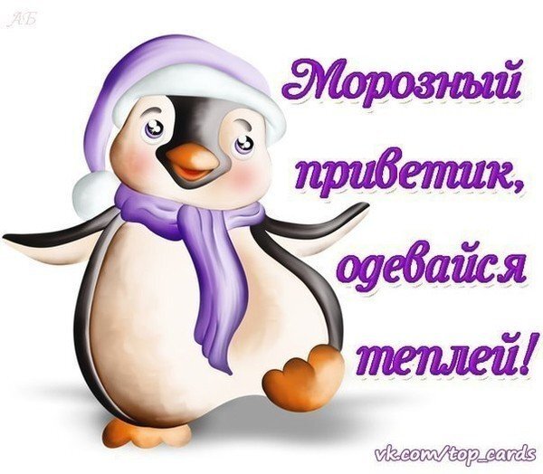 Милая зимняя открытка с пингвином в шапке и шарфе. Надпись: Морозный приветик, одевайся теплей!. Идеально для добрых зимних пожеланий друзьям. Открытка Морозный приветик, одевайся теплей! Милая зимняя открытка с изображением мультяшного пингвина в фиолетовой шапке и шарфе. На картинке крупная надпись на русском языке: 