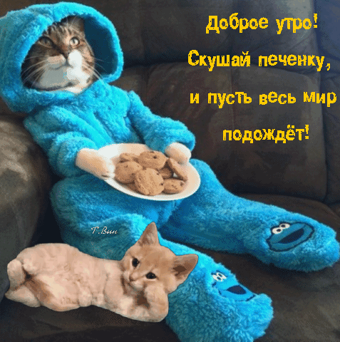 Милая открытка «Доброе утро! Скушай печеньку, и пусть весь мир подождет!» с котом в голубом костюме и котенком. Позитивное фото для хорошего настроения. Анимированная открытка Доброе утро! Скушай печенку, и пусть весь мир подождет! Милое и уютное изображение с котом в ярко-голубом пушистом комбинезоне (кигуруми), который держит тарелку с печеньем. Рядом с ним отдыхает маленький котенок. На картинке нанесен вдохновляющий текст на русском языке: «Доброе утро! Скушай печеньку, и пусть весь мир подождет!»