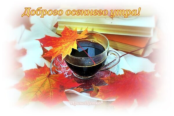 Уютное осеннее утро: чашка кофе, яркие кленовые листья и книги. Теплая осенняя картинка-открытка с пожеланием доброго утра для создания настроения. Открытка Доброе утро! Уютная осенняя композиция, создающая атмосферу тепла и спокойствия. На снимке изображена чашка крепкого черного кофе, расположенная среди ярких кленовых листьев золотистого, оранжевого и красного цветов. На заднем плане видны стопки книг, что подчеркивает эстетику чтения и осеннего уединения. Мягкое освещение и виньетка создают ощущение домашнего уюта