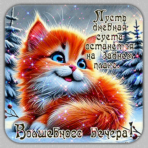 Милая открытка с рыжим котенком в зимнем лесу. Пожелание: «Пусть дневная суета остается на заднем плане. Волшебного вечера!» с блестками и сказочной атмосферой. Анимированная открытка Волшебного вечера! Милая и праздничная открытка с изображением пушистого рыжего котенка в зимнем пейзаже. Котенок с большими голубыми глазами сидит на фоне заснеженных елей, подсвеченный волшебными искрами и блестками. На картинке нанесен поздравительный текст на русском языке: 