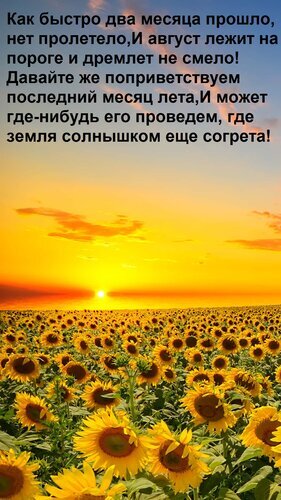 Душевная открытка к августу: золотой закат над полем подсолнухов и трогательные стихи о последнем месяце лета. Идеально для летнего настроения! Открытка Как быстро два месяца прошло, нет пролетело, И август лежит на пороге и дремлет не смело! Давайте же Красивая открытка с летним пейзажем: бескрайнее поле подсолнухов на фоне яркого золотистого заката. На изображении расположен душевный стих о приходе августа — последнего месяца лета