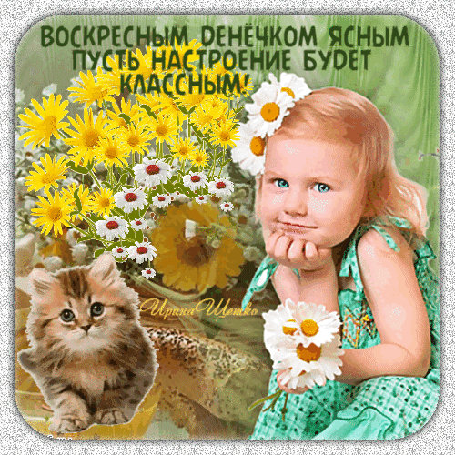 Красивая открытка с девочкой, котенком и цветами. Надпись: Воскресным денечком ясным пусть настроение будет классным!. Идеально для поздравления с воскресеньем. Анимированная открытка Воскресным Денечком Ясным Пусть Настроение Буdет Классным! Милая и яркая открытка для поздравления с воскресным утром. На изображении запечатлена улыбающаяся маленькая девочка с голубыми глазами, которая держит белые ромашки. Рядом с ней расположен пушистый рыжий котенок и пышный букет ярко-желтых гербер или маргариток. В верхней части картинки расположен праздничный текст на русском языке: 