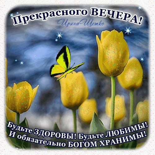 Открытка с желтыми тюльпанами и бабочкой. Пожелания прекрасного вечера, здоровья, любви и божьего хранения. Красивая картинка для добрых пожеланий. Анимированная открытка Добрый вечер! Красивая поздравительная открытка с изображением ярко-желтых тюльпанов и изящной желтой бабочки на фоне мягкого голубого неба. Изображение наполнено светом и весенним настроением. Текст на картинке содержит теплые пожелания доброго вечера, здоровья, любви и божественного покровительства