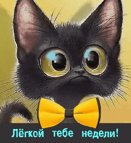 Милый черный котенок в желтой бабочке с надписью «Легкой тебе недели!». Идеальная картинка-пожелание для соцсетей и мессенджеров. Анимированная открытка Легкой тебе недели! Милая и забавная иллюстрация с черным котенком с огромными выразительными глазами. Котенок одет в ярко-желтую бабочку, что создает позитивный и дружелюбный образ. На картинке присутствует надпись на русском языке: Легкой тебе недели!, что делает это изображение идеальным для пожелания хорошего начала недели в социальных сетях, мессенджерах или блогах