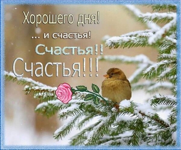 Зимняя открытка с птичкой на заснеженной ветке и розой. Пожелание Хорошего дня и счастья! для доброго приветствия близких. Открытка Хорошего дня! ... и счастья! Счастья!! Счастья!!! Зимняя открытка с пожеланием хорошего дня и счастья. На изображении запечатлена маленькая пушистая птичка, сидящая на заснеженной ветке ели. Рядом с птицей на ветке расцвел нежный розовый цветок розы, создавая контраст между зимним холодом и весенней нежностью. На фоне виден заснеженный хвойный лес. Текст на картинке гласит: 