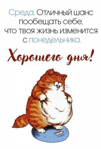 Смешная открытка со словами «Среда. Отличный шанс пообещать себе, что твоя жизнь изменится с понедельника». Рыжий толстый кот на весах. Юмор и позитив! Открытка Среда. Отличный шанс пообещать себе, что твоя жизнь изменится с понедельника! Смешная картинка-открытка с ироничной надписью на русском языке: «Среда. Отличный шанс пообещать себе, что твоя жизнь изменится с понедельника. Хорошего дня!». На изображении представлен забавный рыжий толстый кот, стоящий на напольных весах. Картинка наполнена юмором, высмеивающим привычку откладывать перемены на неопределенный срок