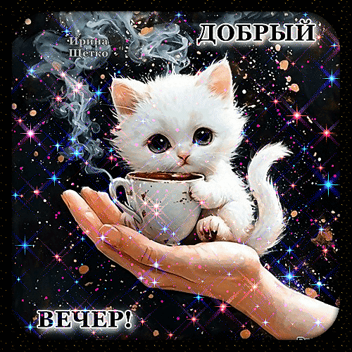 Милая открытка «Добрый вечер!» с белым котенком и чашкой кофе на фоне звездного неба. Красивое пожелание уютного вечера для близких и друзей. Анимированная открытка Добрый Вечер! Милая и волшебная открытка с изображением пушистого белого котенка, который держит маленькую чашку кофе в лапках. Котенок сидит на раскрытой ладони человека на фоне мерцающего звездного неба с искрами и блестками. Надписи на русском языке «ДОБРЫЙ ВЕЧЕР!» создают атмосферу уюта, тепла и праздничного настроения